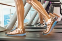 How the Feet Move from Heel to Toe